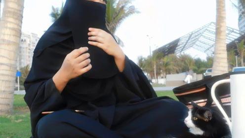 娱乐吃瓜君哥,揭秘娱乐圈那些不为人知的幕后故事